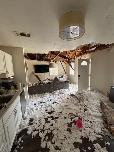 A living room ceiling collapsed by a fallen tree, with a tree trunk, broken roof joists, insulation and drywall debris across the floor and furniture