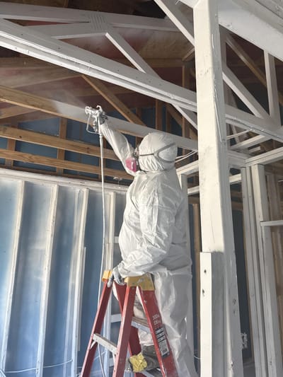 Sealing the cleaned framing with an odor-locking encapsulant