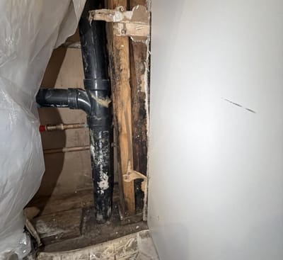 A wall cavity opened to the studs, mold on the framing around the drain and supply lines