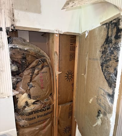 An opened wall cavity, the fiberglass insulation soaked and mold spread across the drywall behind it