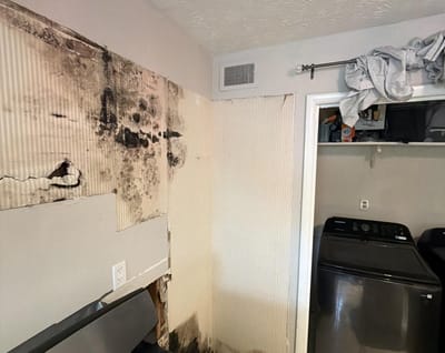 Mold from an upstairs leak in a Lindbergh condo