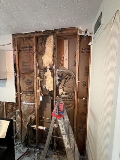 The exposed framing before cleaning, mold and soaked insulation still in the cavity