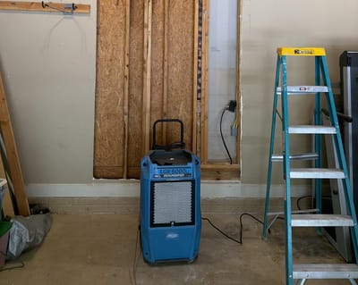 A large dehumidifier running in the garage, the affected wall opened to the studs