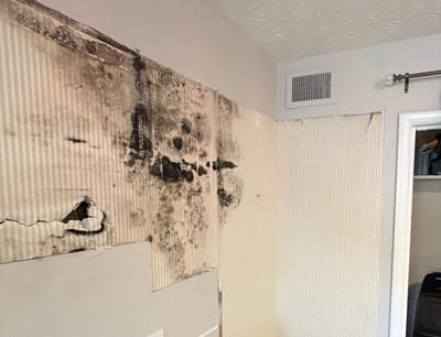 Heavy black mold spread across an interior wall