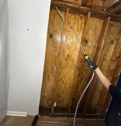 A technician spraying antimicrobial onto exposed wall framing and sheathing after the drywall was removed