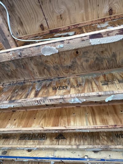 Mold growing in an opened wall cavity exposed during demolition